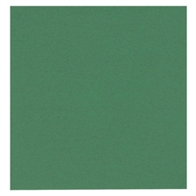 Frokostserviet Gastro, 2-lags, 1/4 fold 33x33cm grøn 2400stk