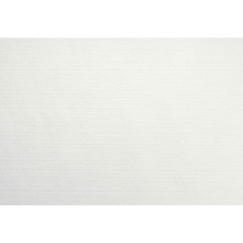 Evolin® Dækkeserviet/Placemats Hvid 30 x 43 cm 350 stk