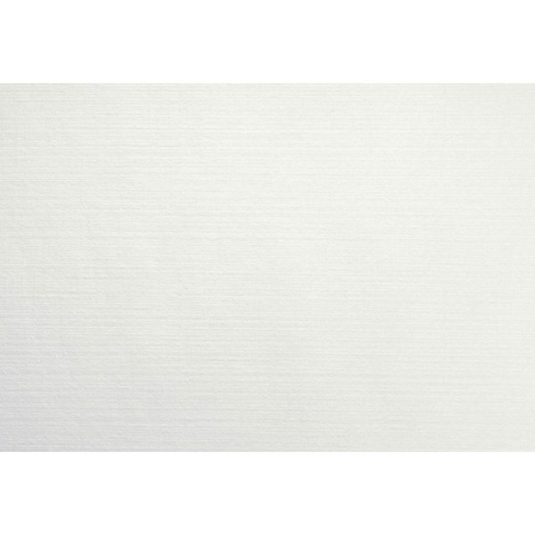 Evolin® Dækkeserviet/Placemats Hvid 30 x 43 cm 350 stk
