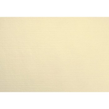 Evolin® Dækkeserviet/Placemats Cream 30 x 43 cm 350 stk